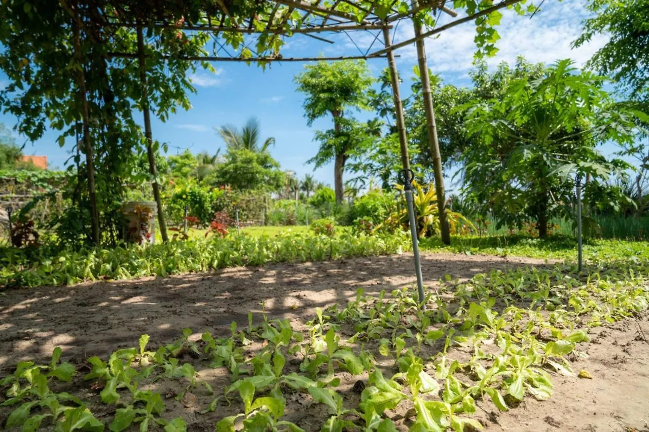 Tra Que Flower Homestay Hoi An