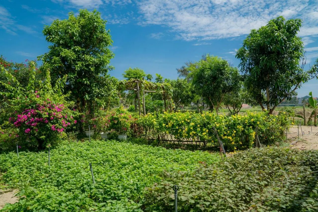 Tra Que Flower Homestay Hoi An Vietnam