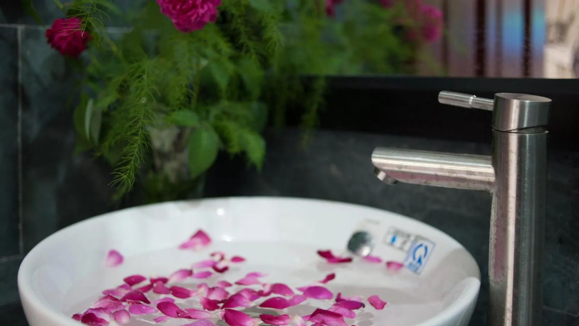 Tra Que Flower Homestay Hoi An Vietnam